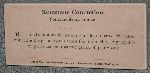 048_2009-0119-1146-28A.jpg